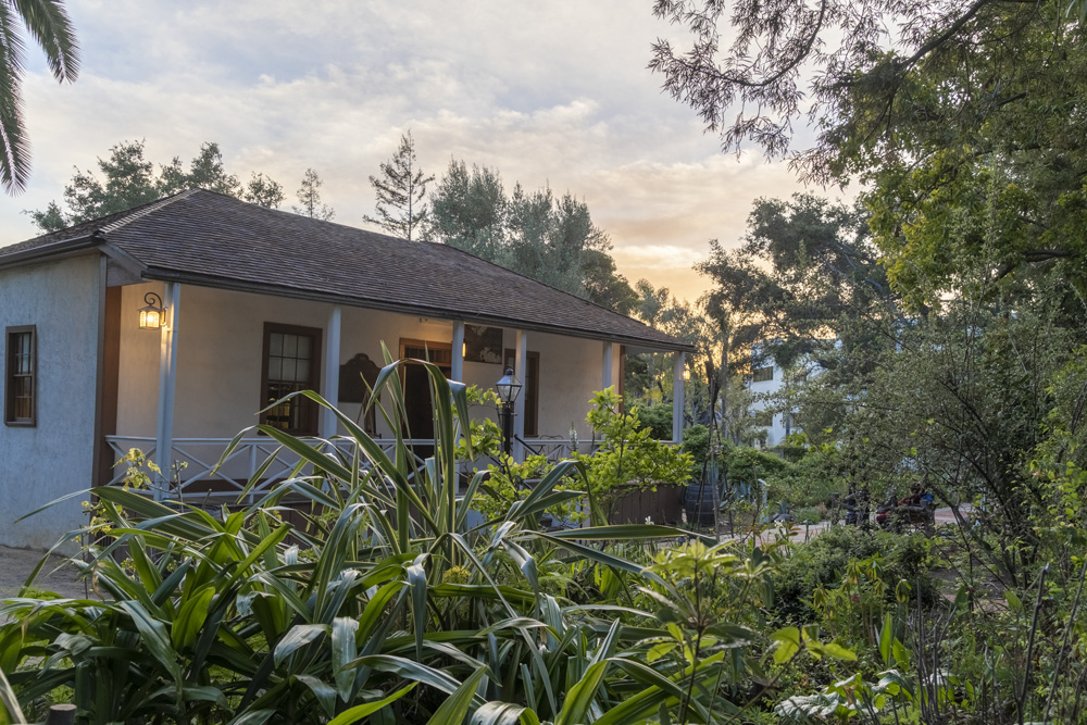 19th Century Wine History Timeline Exhibition Wine History Project of